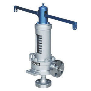 中國(guó)天正閥門有限公司彈簧脈沖式安全閥（A69Y）